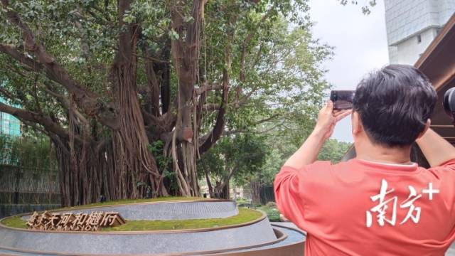 住在湾区｜艺术家陈华：在广州的奋斗原点拥有一片心灵栖息地