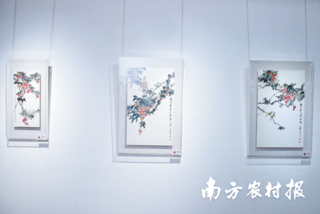 南方农村报 陈志深 拍摄