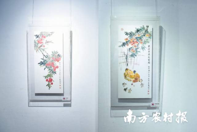 南方农村报 陈志深 拍摄