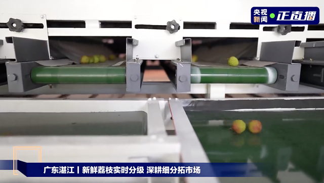 智能分拣系统分果，销往不同需求市场