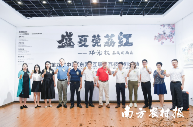 “盛夏莞荔红·邓治权荔枝国画展”在东莞大朗镇档案馆二楼展厅开幕。