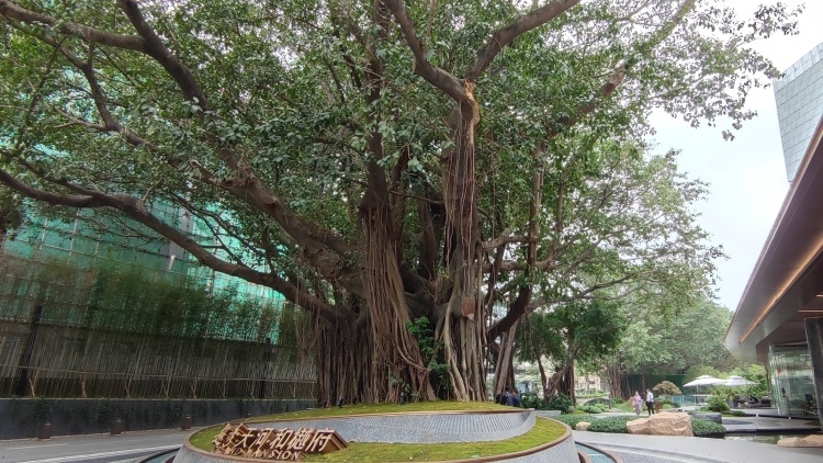 住在湾区｜高知人群共话广州天河北城市中轴优质生活圈