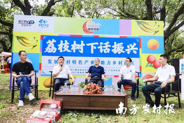 荔枝樹(shù)下開(kāi)展的“柏橋講堂”,。