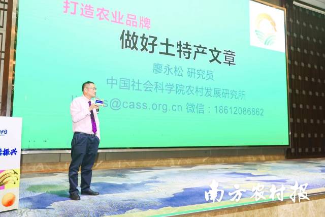 中國(guó)社會(huì)科學(xué)院研究員廖永松,。