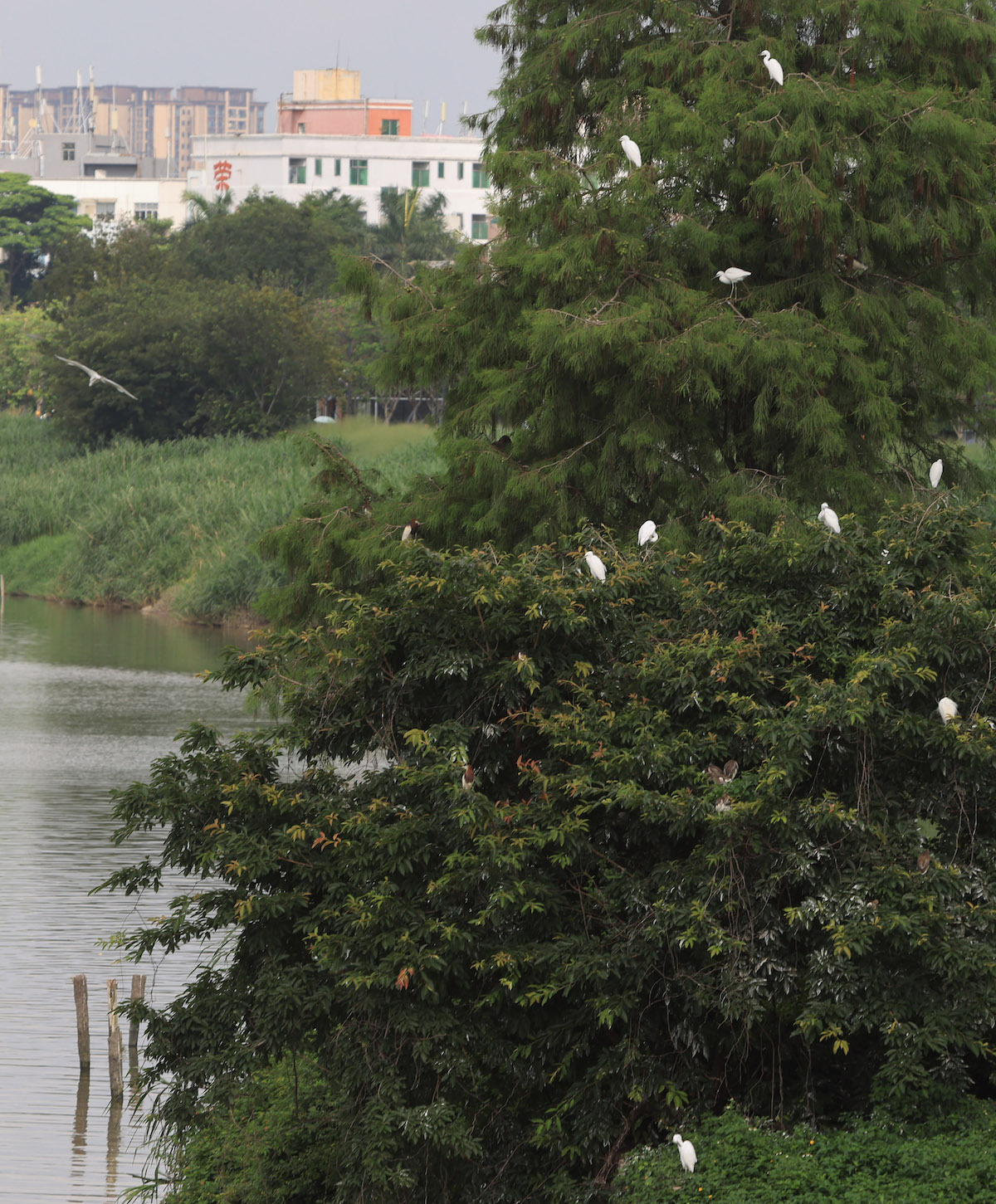 南方+ 何俊 拍摄