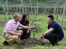 驻平远县大柘镇帮镇扶村工作队：组团帮扶显优势 强农富农见成效