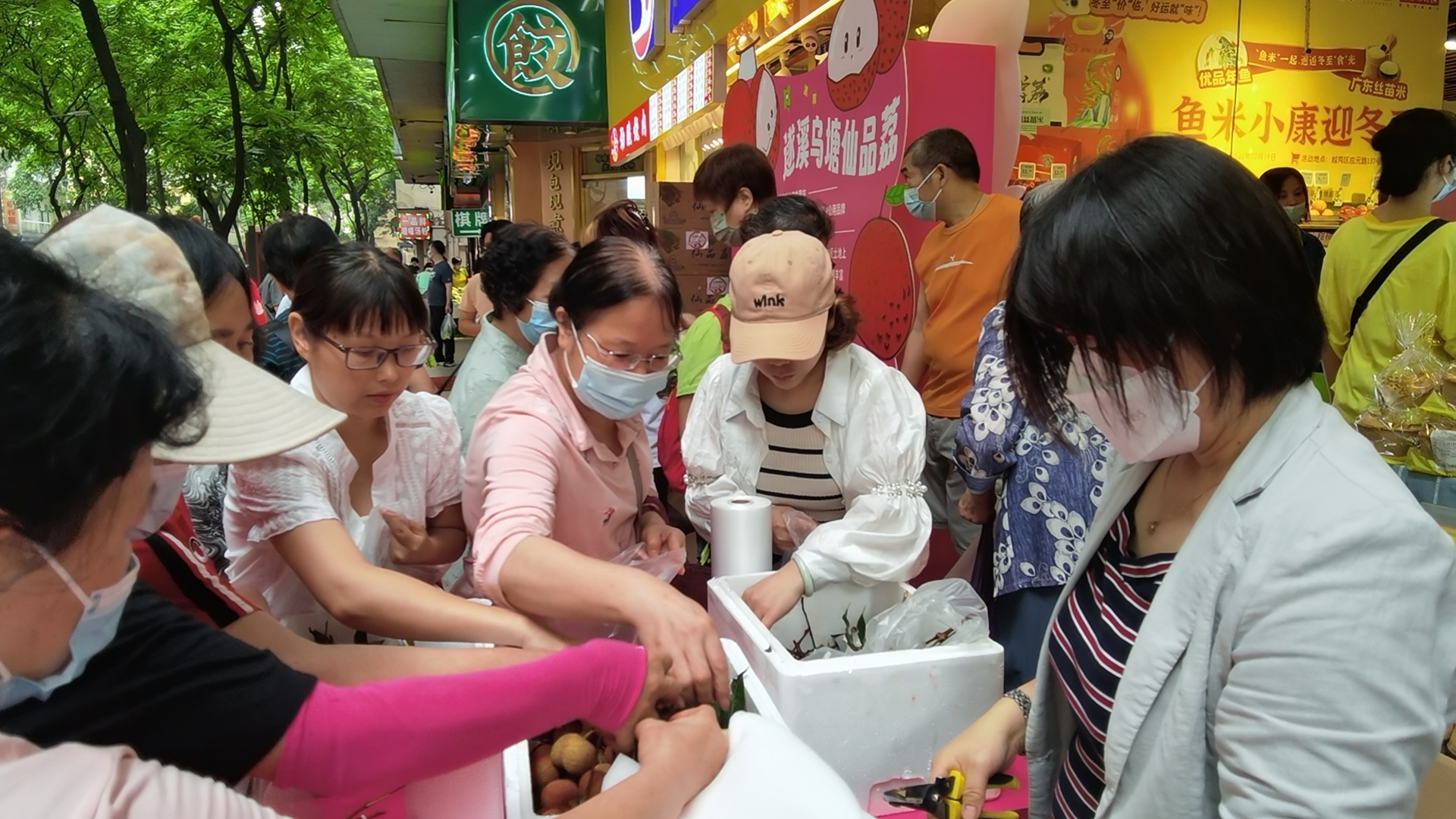 央視直播送好風(fēng),，半島荔園客盈門(mén)