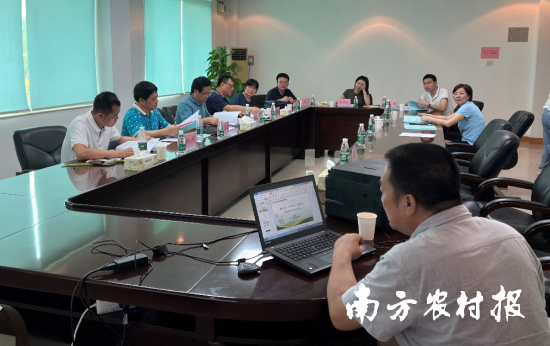 “顺宝豇豆”等3个豇豆品种通过专家现场鉴定