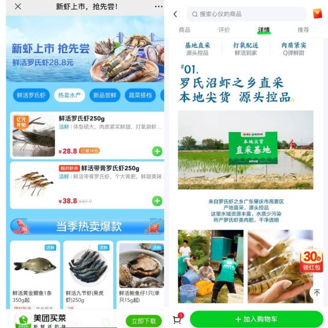 美團買菜為肇慶高要羅氏蝦提供專屬頁面及活動。