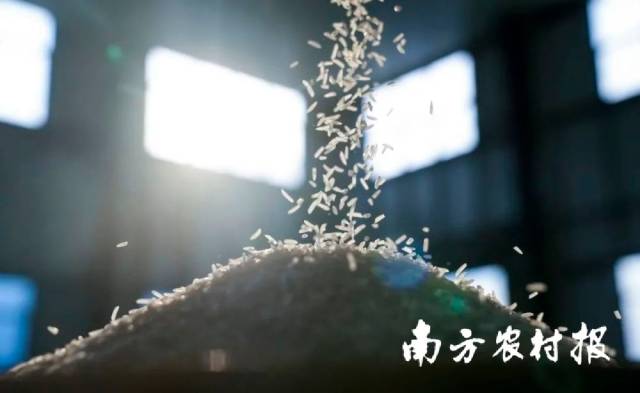 清远日报记者 李思靖 摄