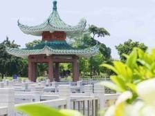 人居环境更美，街道产业更旺！塘尾街道稳步推进产业振兴