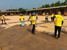 雷州市龙门镇：小花生结出“金豆子”