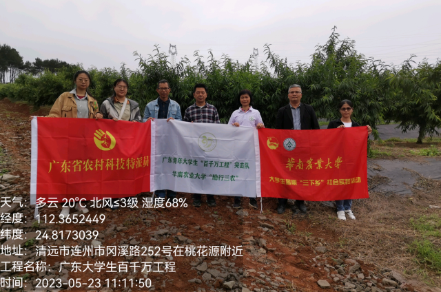 提前布控防治桔小实蝇，华农技术团队为连州果园提供全程防治策略