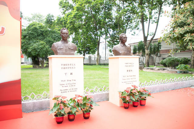 中國(guó)稻作學(xué)之父-丁穎 院士塑像與半矮稈水稻之父--黃耀祥院士塑像 