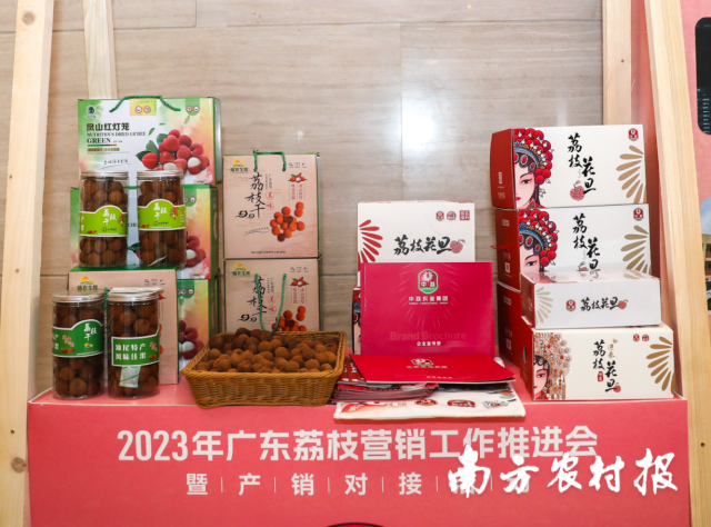 凤山红灯笼等汕尾荔枝产品亮相2023 年广东荔枝营销工作推进会暨产销对接活动现场。 