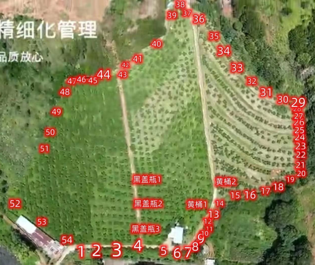 技术团队围绕果园布置监控诱集瓶