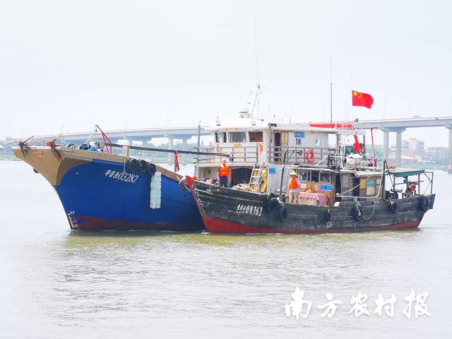 受訪者供圖