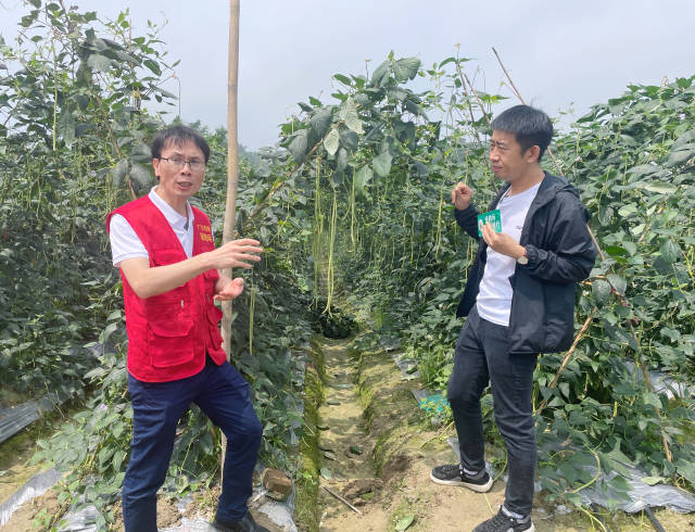 廣東省農(nóng)產(chǎn)品質(zhì)量安全追溯管理平臺(tái)高級(jí)講師傅學(xué)鋒
