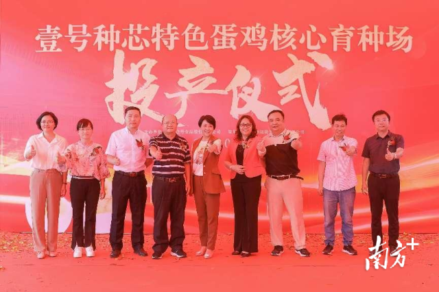 计划覆盖1亿羽以上存栏规模   壹号种芯特色蛋鸡核心育种场投产