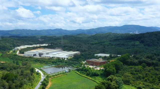 广州从化壹号蛋鸡产业园全景