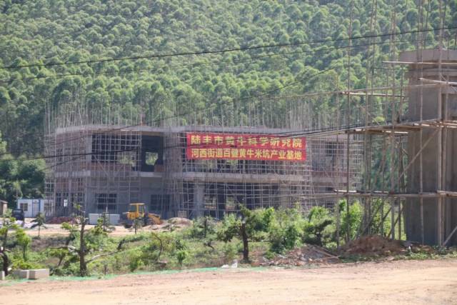 陆丰市黄牛科学研究院正在建设施工