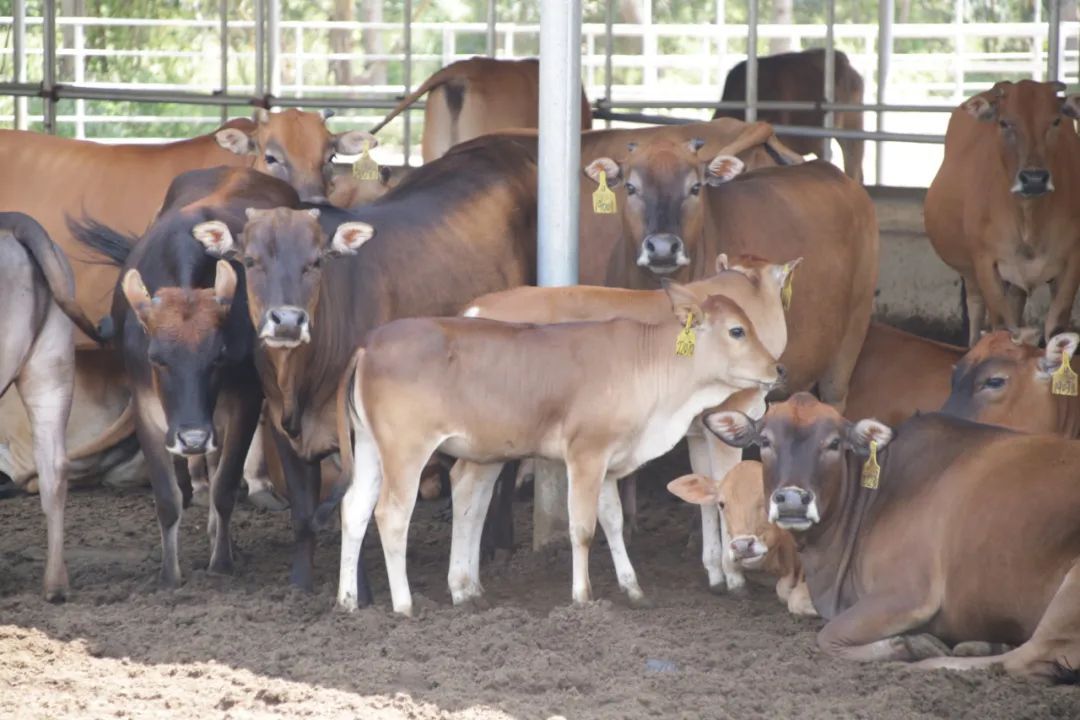 开元棋牌- 开元棋牌官方网站- 开元棋牌APP下载每天有三四个小时空闲时间做什么兼职赚钱比较好？