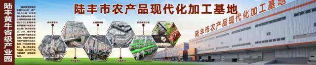 陆丰市农产品现代化加工基地