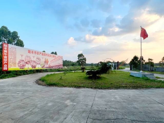 陆丰市农产品现代化加工基地