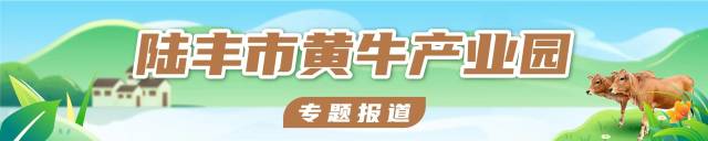 投资9亿元！陆丰黄牛产业园打造三产融合高质量发展样板