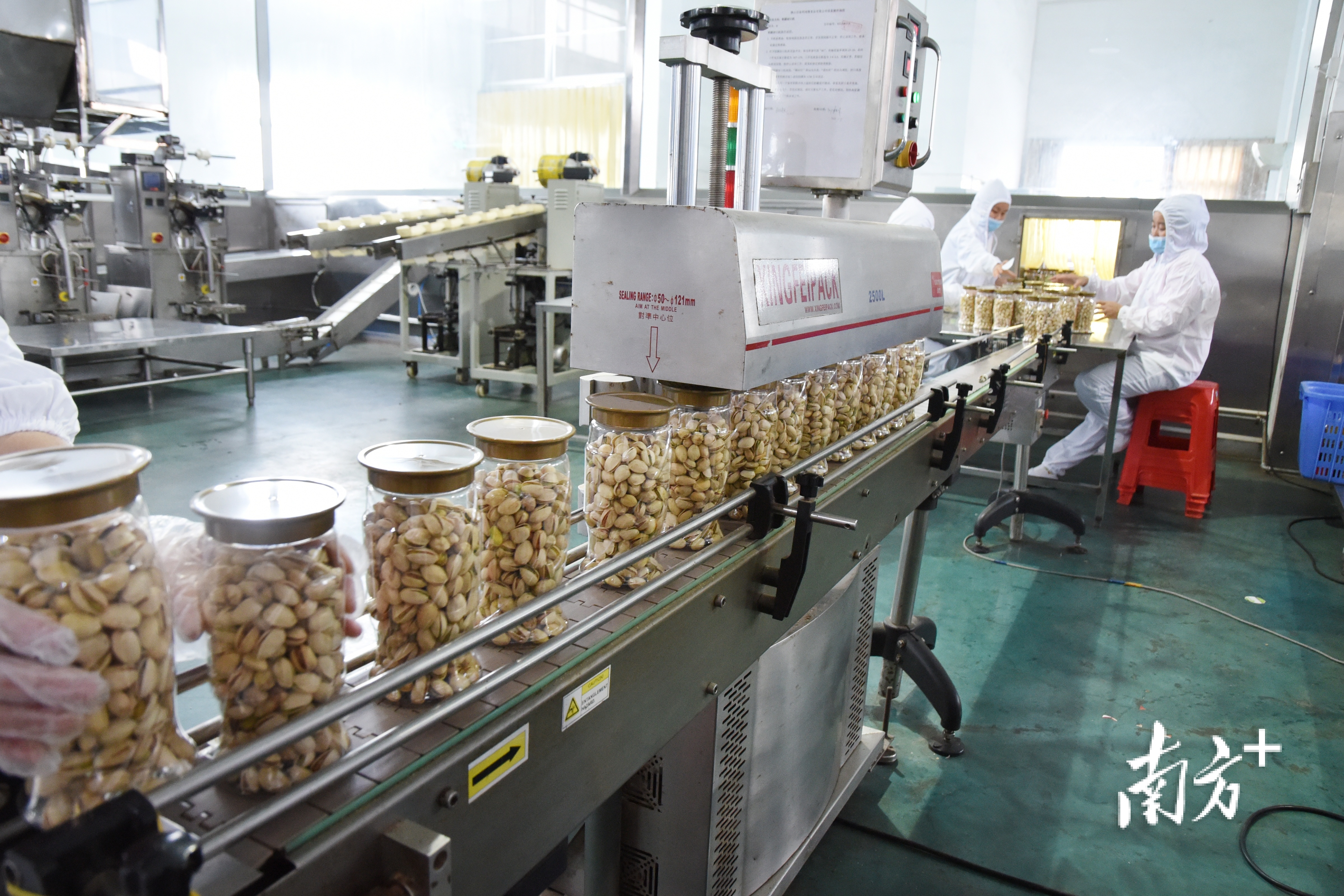 鸿鹰食品的开心果占据全国市场份额的90%。受访企业供图 鸿鹰食品的开心果占据全国市场份额的90%。受访企业供图