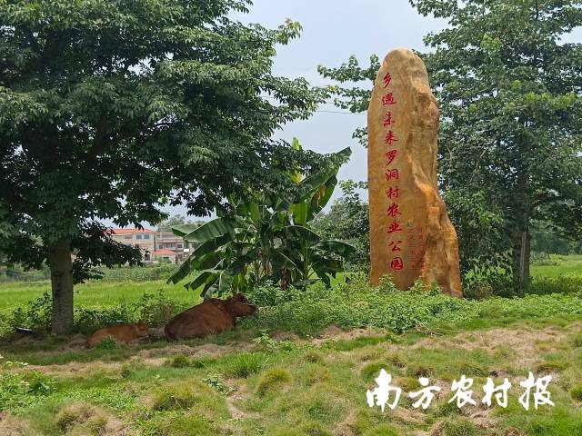 田園觀光、農(nóng)旅融合的農(nóng)業(yè)公園