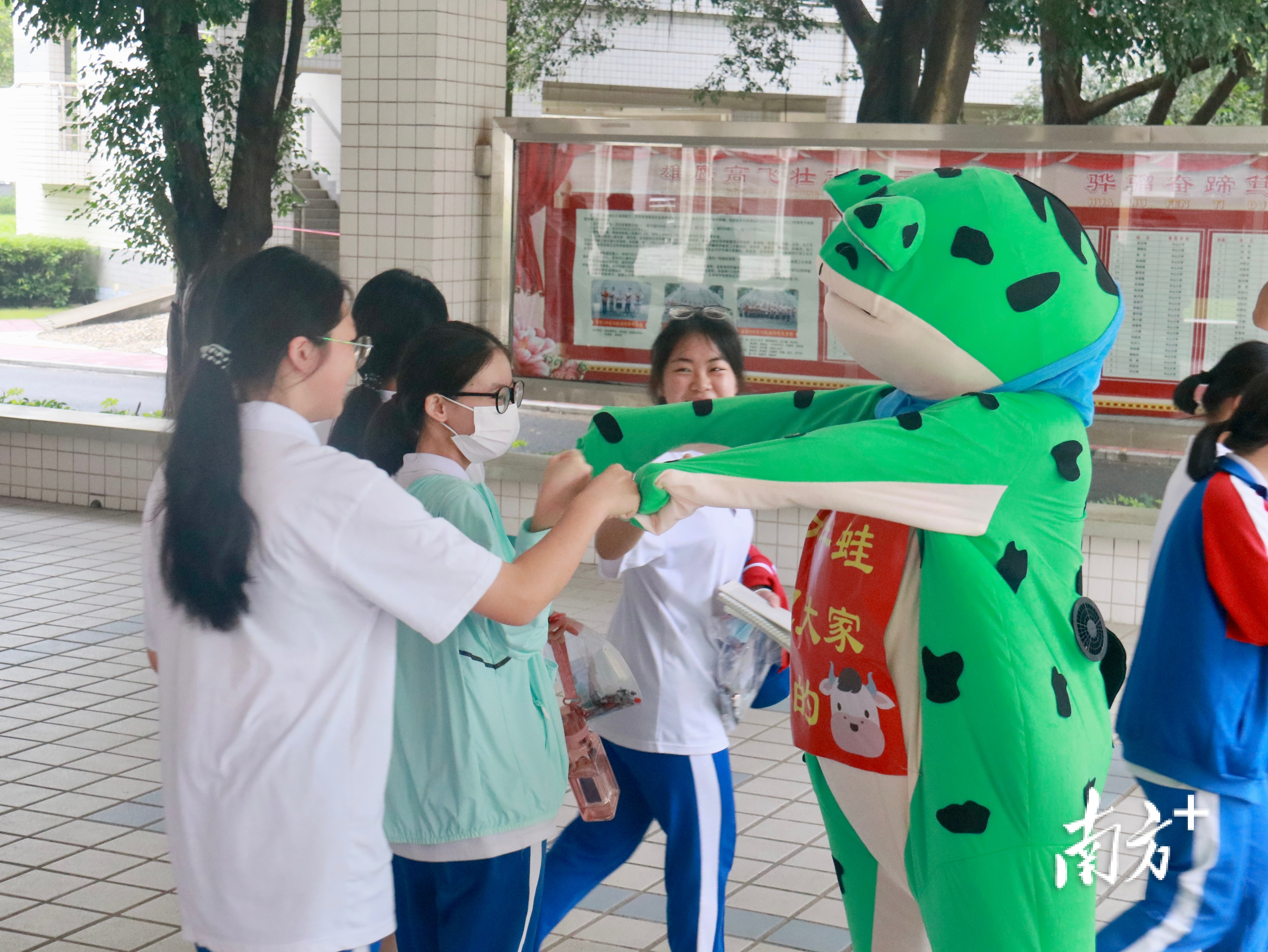 广东肇庆中学教师化身“牛蛙”，为考生加油。南方+卢逸轩 摄