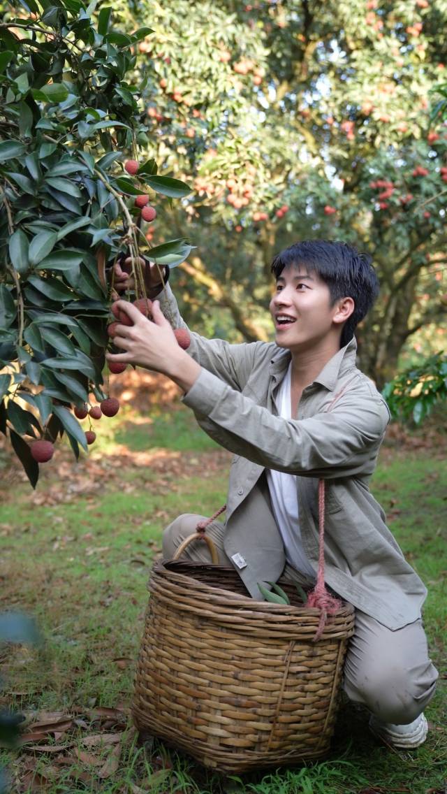 广西乡村教师、政协委员赖家益拍摄荔枝宣传视频。（受访者供图）