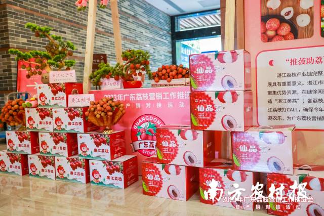 孟祥春：破解荔枝保鲜难题的五个对策