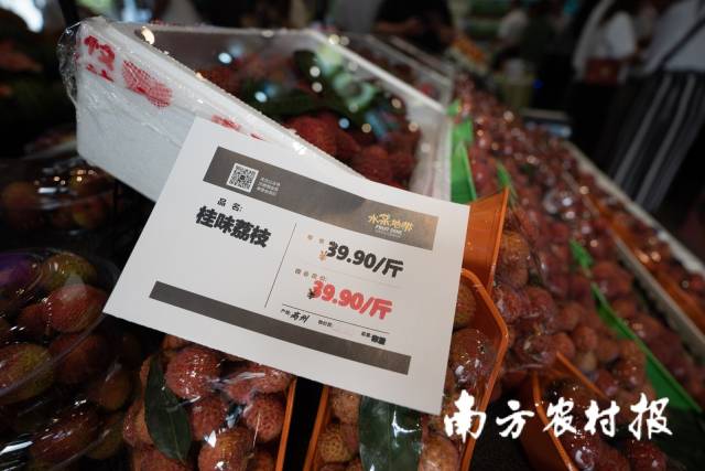 高州桂味荔枝在成都高端水果超市售价39.9元/斤 
