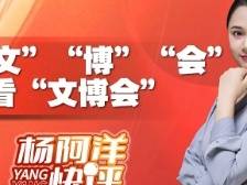 以“文”“博”“会” 看“文博会”|  杨阿洋快评
