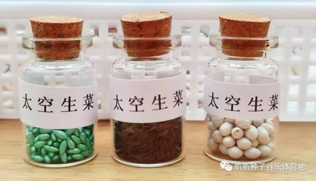 各种太空种子。