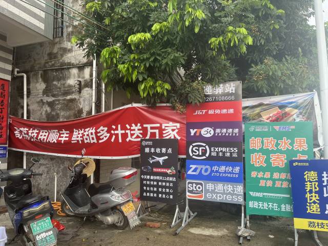 各快递公司沿街设置的荔枝收寄点