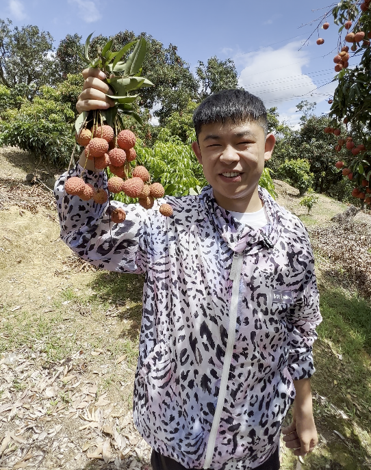 晓凡凡在果园采摘荔枝。（受访者供图）