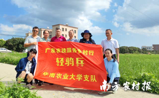 华农水稻专家团队赴高州、电白开展科技服务