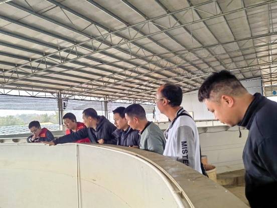 “轻骑兵”成员在锦源公司养殖基地现场指导 “轻骑兵”成员在锦源公司养殖基地现场指导