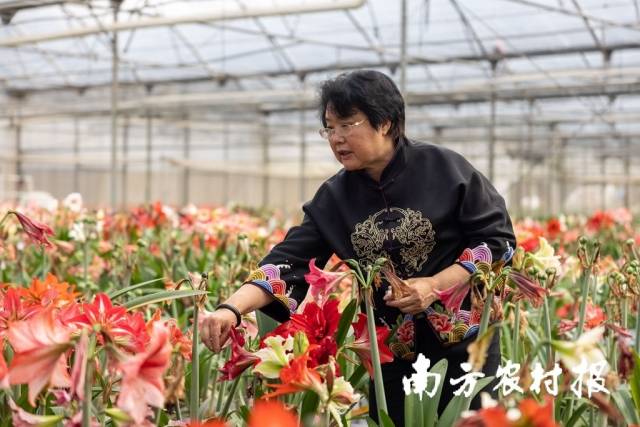 广东圣茵花卉园艺有限公司负责人周世明