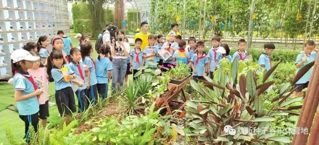 实地了解农作物的生长规律和习性。