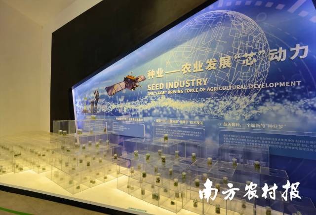 航新种子谷展厅内的组织培养植物展示。