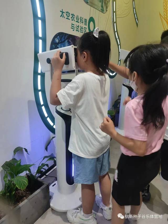 沉浸式体验航天育种。