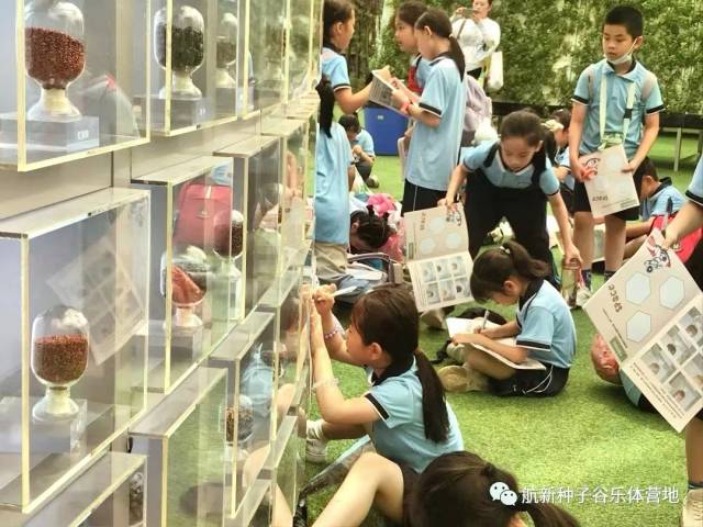 临摹太空种子。