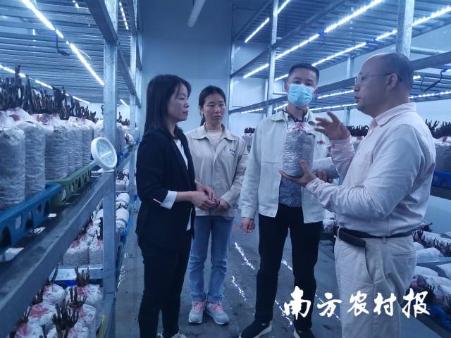 何焕清（右一）、肖自添（左一）到韶关市星河生物科技有限公司进行技术指导 