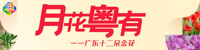 各路专家在最火热的天，一起谈“注定红”的事