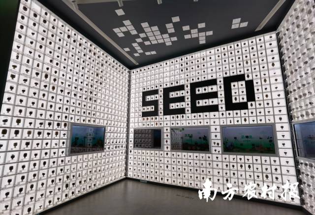 展厅内的“种子墙”。