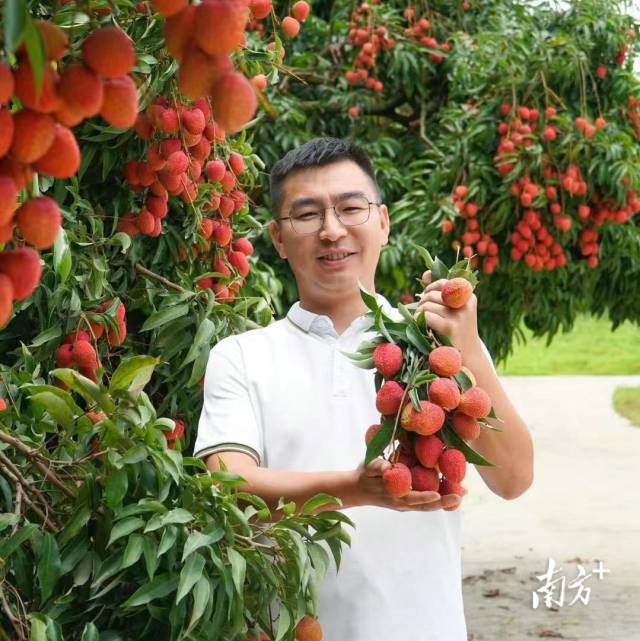 种荔枝如考试 励志“状元红”